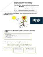 evaluación 6 año fotosíntesis 2017.doc