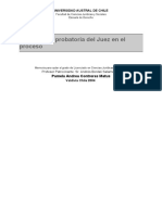 La Iniciativa Probatoria Del Juez en El Proceso - Pamela Andrea Contreras Matus PDF