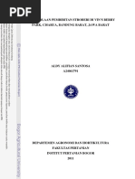 Download Artikel Petlap by Novi Hervianti Putri SN366773735 doc pdf