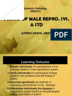 Patho of Male Repro. Sys. & STD: Azrina Zainal Abidin