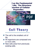 The Cell As The Fundamental Unit of Life: The Structure and Function of Cellular Organelles