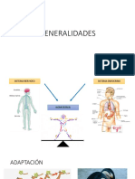 Sistema Endocrino