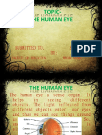 Topic-The Human Eye: Submitted To. Submitted BY