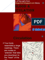 Blood Circulation Opt