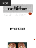 Acute Pyelonephritis