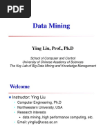 Data Mining: Ying Liu, Prof., PH.D