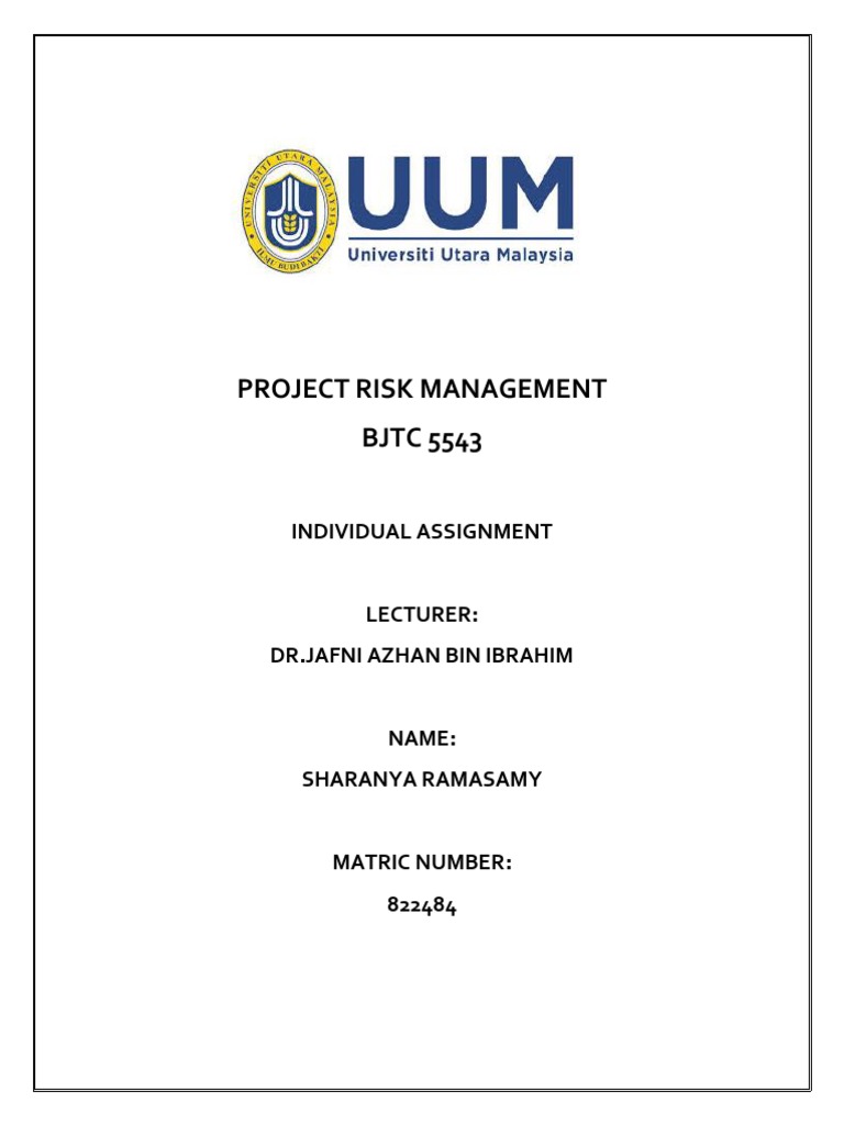 Project Risk Management Assignment | PDF