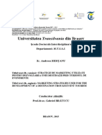 HertanuAndreea.pdf