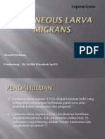 Slide Cutaneous Larva Migrans