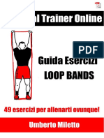 Guida Loop Bands