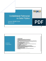 Contabilidade Patrimonial no Setor Público: Conceitos e Procedimentos