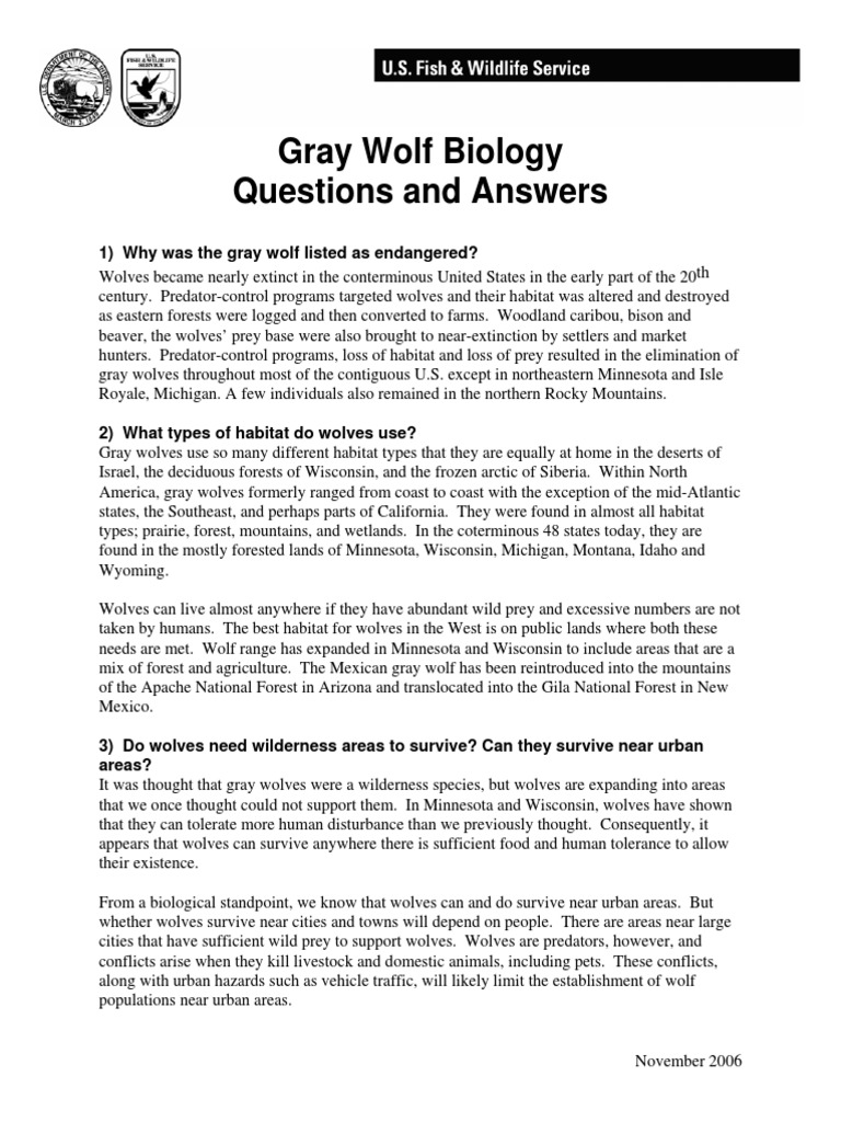 Gray Wolf Biology Questions and Answers: 1) Why Was The Gray Wolf ...