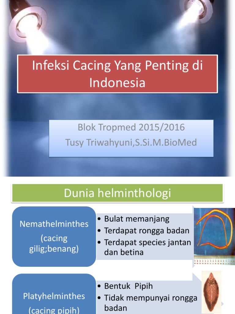Infeksi Cacing di Indonesia | PDF | Parasitology | Diseases And Disorders