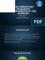 PPHN (Persistent Pulmonary Hipertension of The Newborn