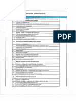 Implementacion de Protocolos PDF