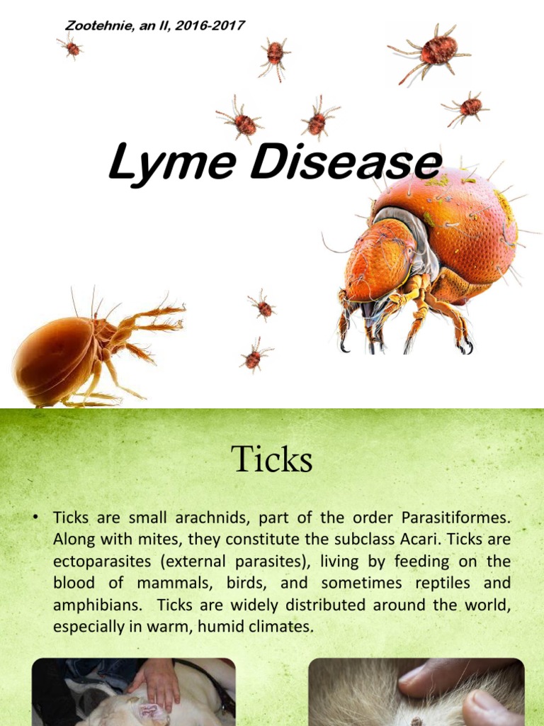 Lyme Disease | PDF | Immunology | Diseases And Disorders