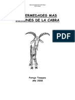 Inta - Enfermedades Mas Comunes en Cabras