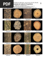 307 MacroanatomyClimbers-b1 1