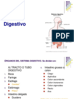 Sistema Digestiv0.ppt