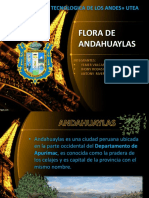 Flora de Andahuaylas