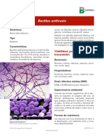 10. Bacillus anthracis 1.pdf