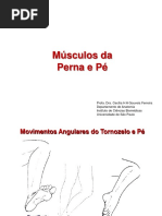 Músculos Da Perna e Pé. Profa. Dra. Cecília H a Gouveia Ferreira Departamento de Anatomia Instituto de Ciências Biomédicas Universidade de São Paulo