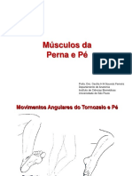 Músculos Da Perna e Pé. Profa. Dra. Cecília H A Gouveia Ferreira Departamento de Anatomia Instituto de Ciências Biomédicas Universidade de São Paulo