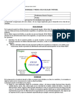 Guía Ciclo Celular y Mitosis