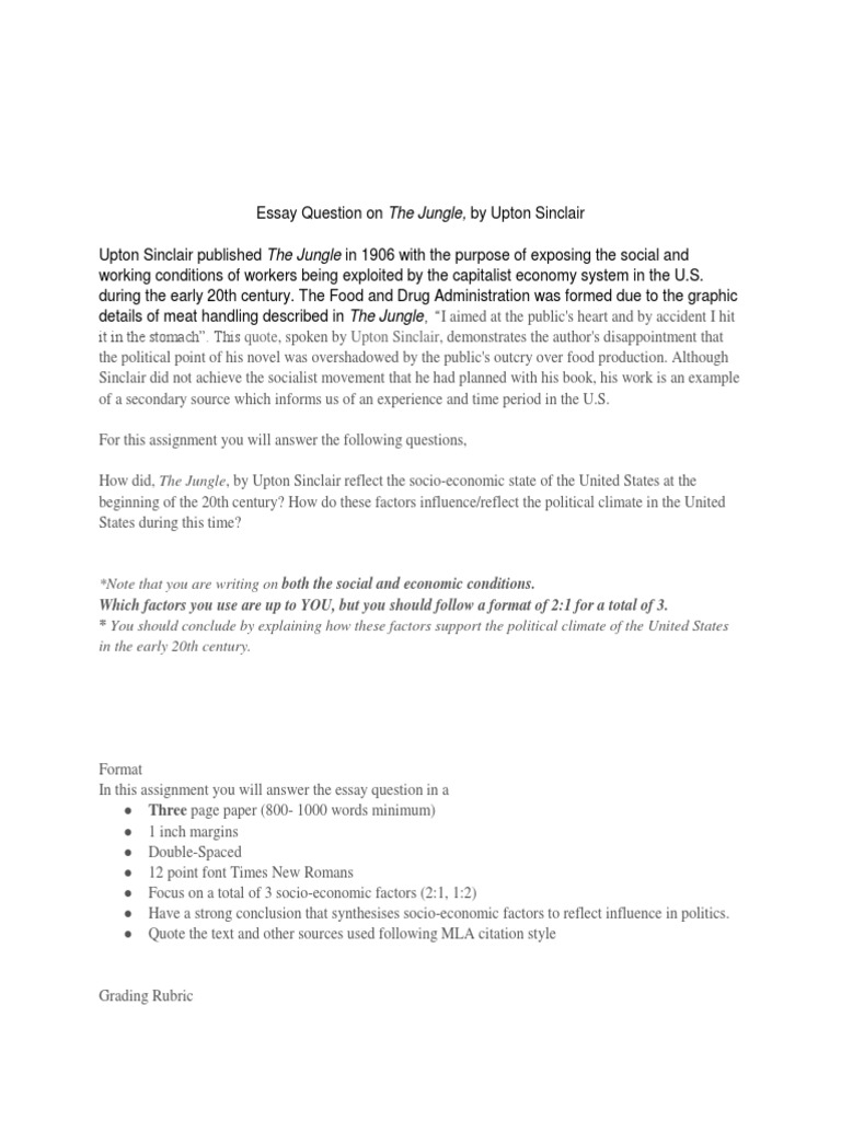 How to make essays longer image