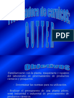 29593794-Cutter.ppt
