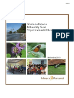 EsIA Cobre Panama PDF