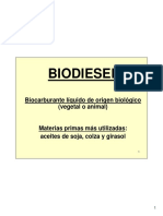 Presentacion_biocom_Steinberg.pdf