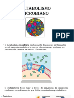 Metabolismo Microbiano