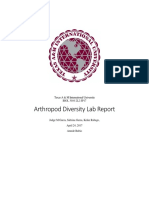 Arthropod Diversity Lab Report