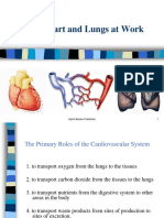 CH 6 Heart and Lungs