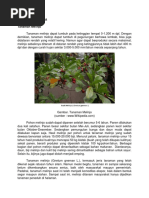 Download Tinjauan Pustaka Emping by amany SN366860276 doc pdf