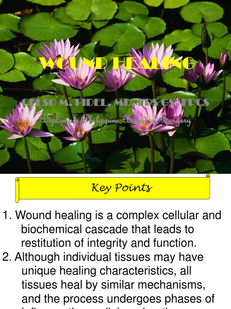 WOUND HEALING With Animations | Extracellular Matrix | Wound Healing