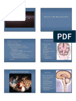 Diseases of the Nervous System Summary