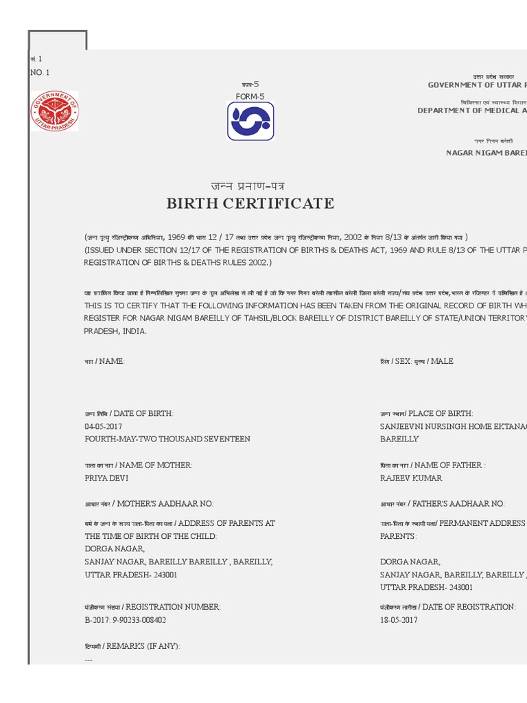 Birth | PDF