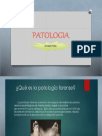 Nuevopresentacindemicrosoftpowerpoint2 151118212603 Lva1 App6891