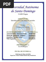 Tarea de Ciencias Sociales Amaurís Félix Almanzar Peña