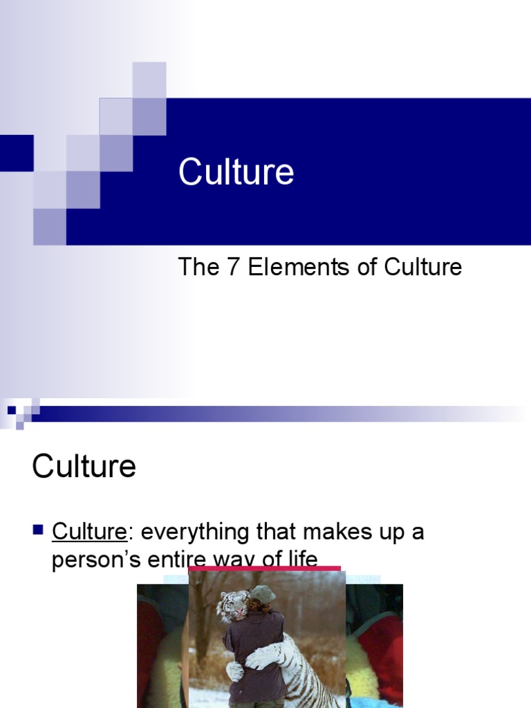 the-seven-elements-of-culture-social-organization-customs-language