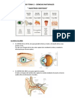 Repaso Tema 2 - Naturales