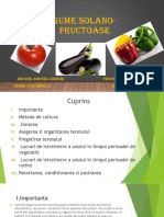 Legume Solano Fructoase