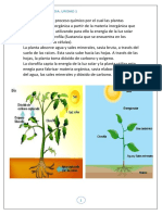 REPASO