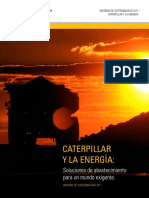 Cat y La Energia PDF