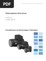 WEG Procedimentos de Desmontagem e Montagem