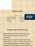 Myxomycota