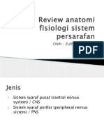 Review Anatomi Fisiologi Sistem Persarafan