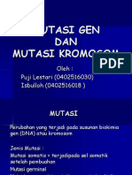 Mutasi Gen Dan Mutasi Kromosom